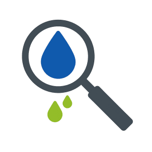 Diagnose Leaks SM